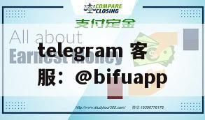 GCash支付平台：为菲律宾商户提供实时结算服务