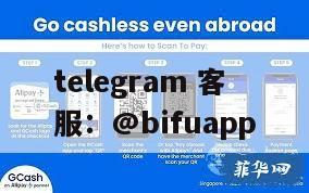 GCash与Bifu支付平台：为菲律宾商户提供灵活支付结算